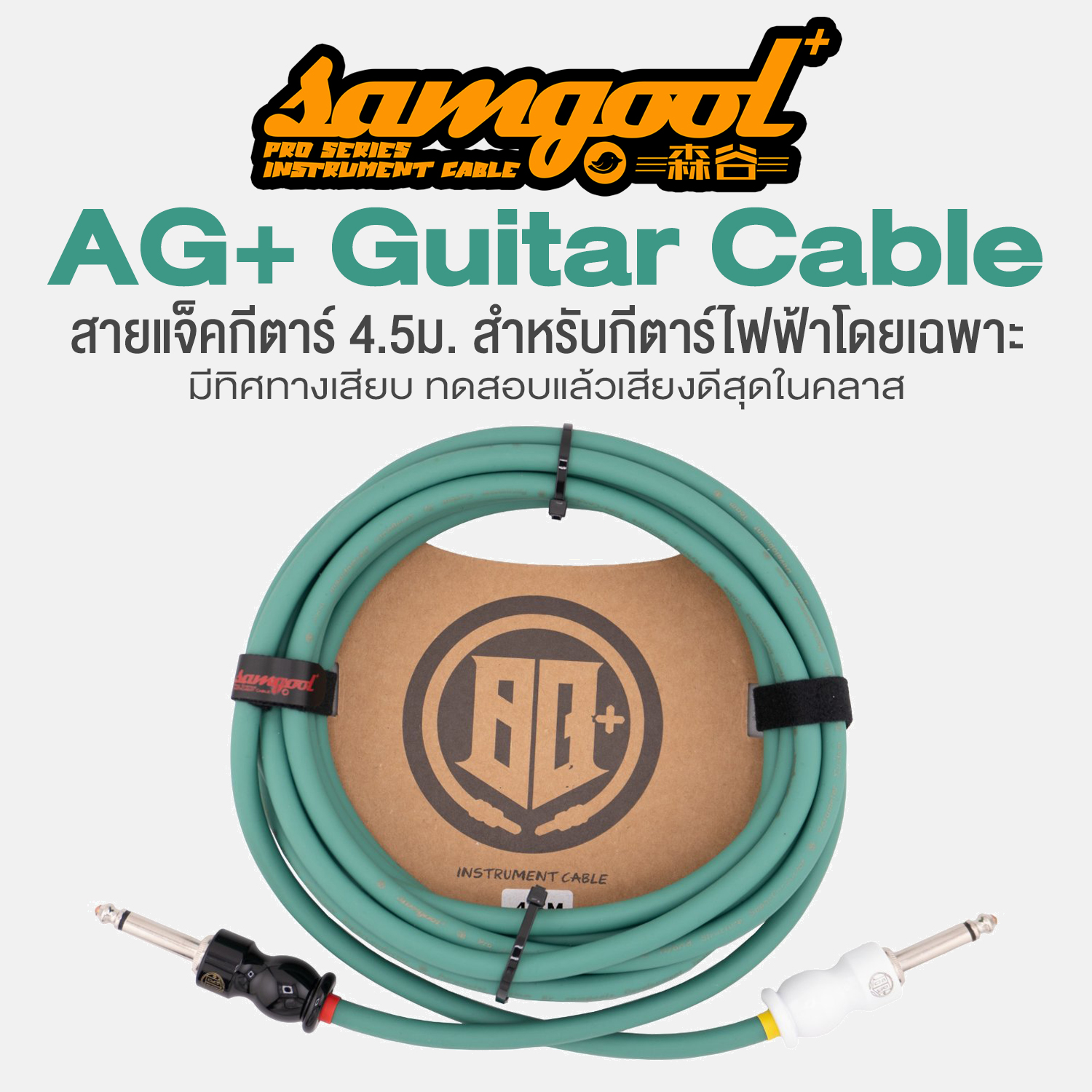No Brand AG+ Series for Guitar Teal / Straight