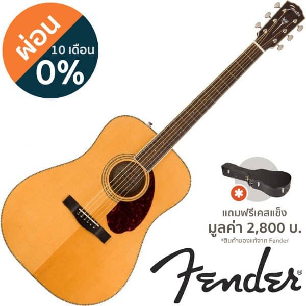 Fender PM-1E