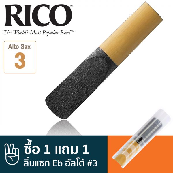 Rico RRP05ASX300